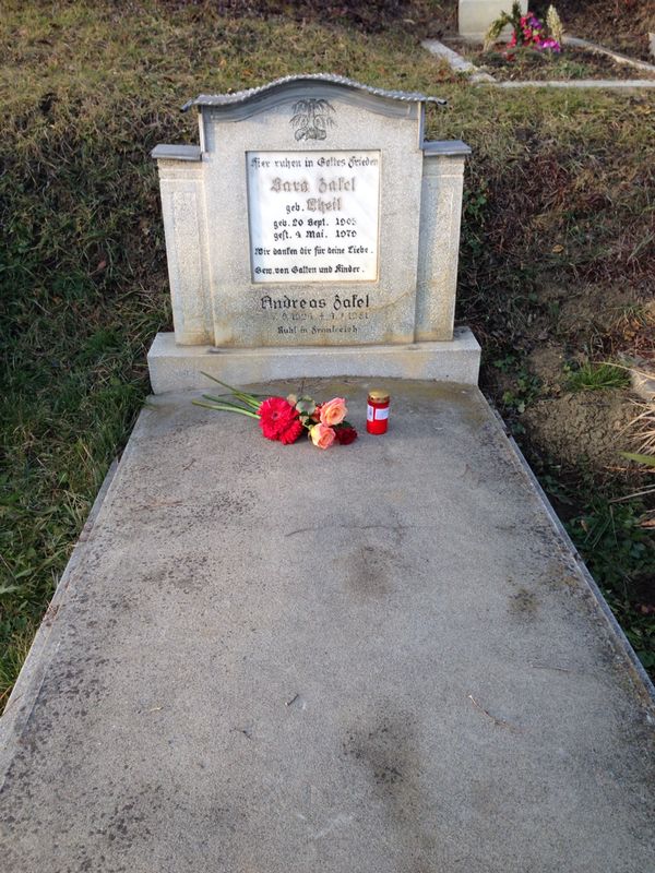 Image 3 of 37  -  134 kB